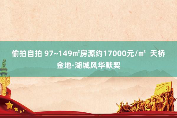 偷拍自拍 97~149㎡房源约17000元/㎡  天桥金地·湖城风华默契