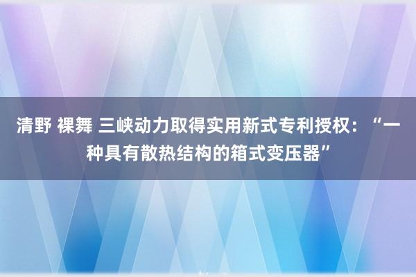 清野 裸舞 三峡动力取得实用新式专利授权：“一种具有散热结构的箱式变压器”