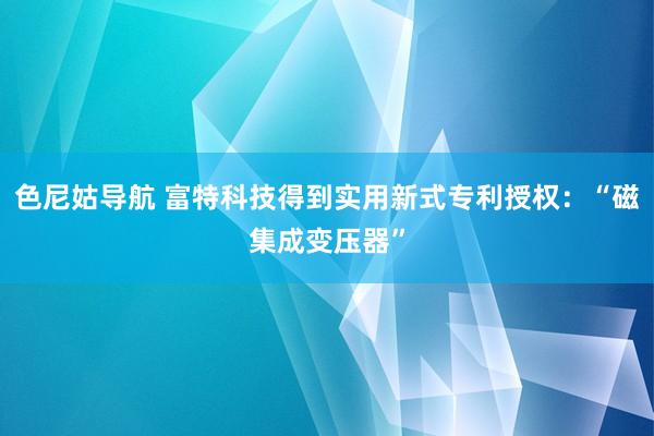 色尼姑导航 富特科技得到实用新式专利授权：“磁集成变压器”