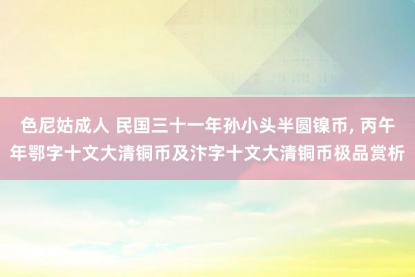 色尼姑成人 民国三十一年孙小头半圆镍币， 丙午年鄂字十文大清铜币及汴字十文大清铜币极品赏析