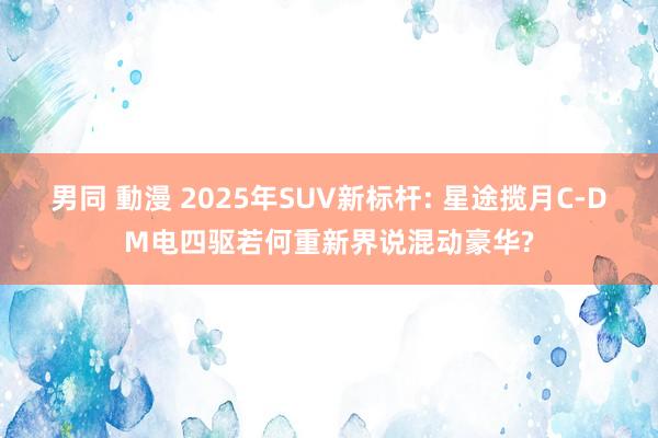 男同 動漫 2025年SUV新标杆: 星途揽月C-DM电四驱若何重新界说混动豪华?