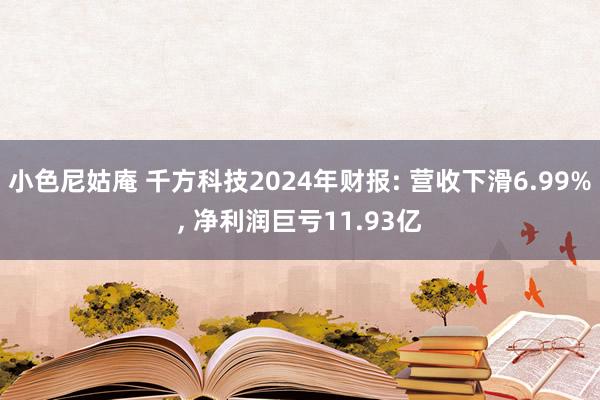 小色尼姑庵 千方科技2024年财报: 营收下滑6.99%， 净利润巨亏11.93亿