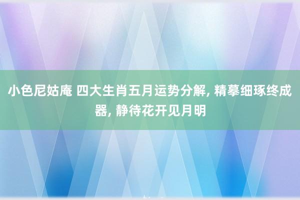小色尼姑庵 四大生肖五月运势分解， 精摹细琢终成器， 静待花开见月明