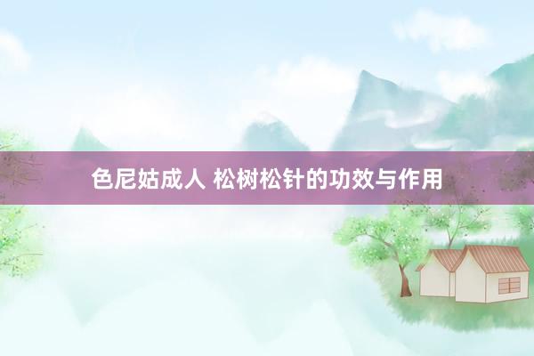 色尼姑成人 松树松针的功效与作用