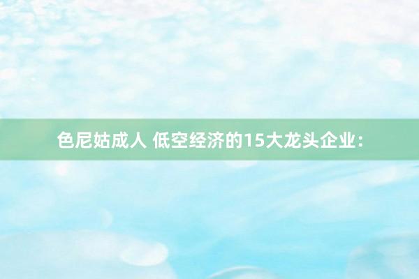 色尼姑成人 低空经济的15大龙头企业：