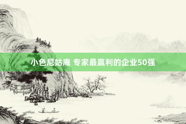 小色尼姑庵 专家最赢利的企业50强
